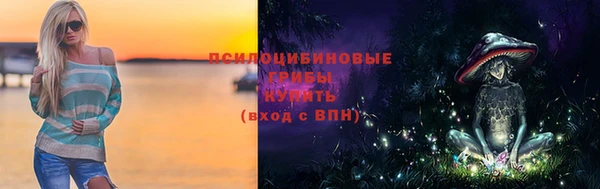 соль ск Алзамай