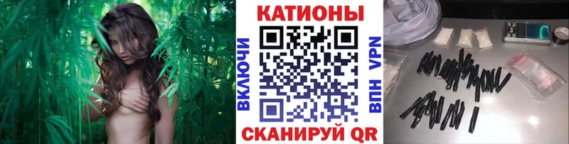МЯУ-МЯУ 4 MMC  Зеленокумск 