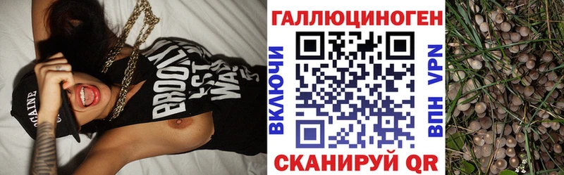 Псилоцибиновые грибы Psilocybine cubensis  купить закладку  omg как войти  Зеленокумск 