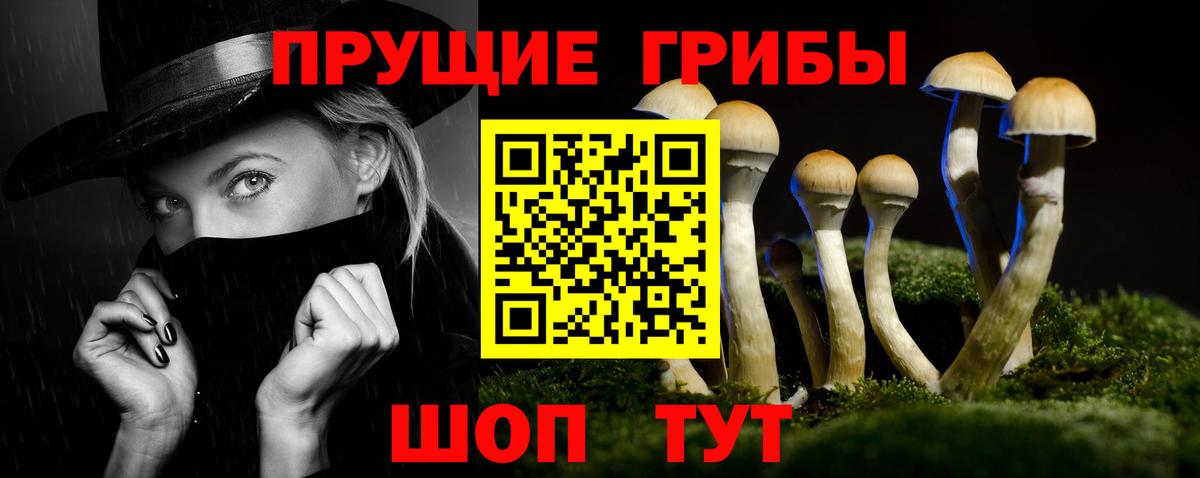 Псилоцибиновые грибы Cubensis  Галлюциногенные грибы GOLDEN TEACHER  Зеленокумск  Вход с VPN 